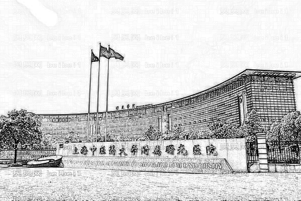 上海曙光医院
