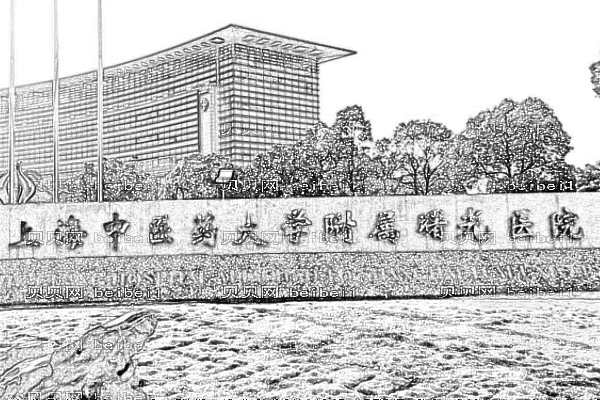 上海曙光医院