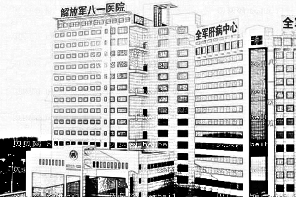 人民解放军第八十一医院