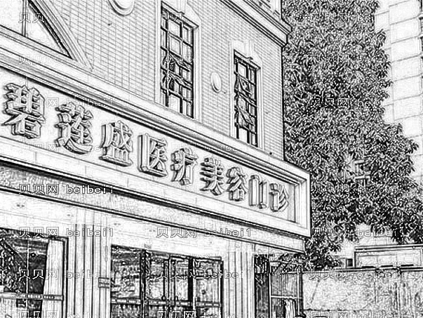 北京碧莲盛植发·介绍分享
