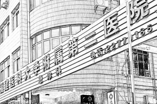 福建医科大学附属第二医院