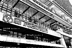 厦门市妇幼保健院