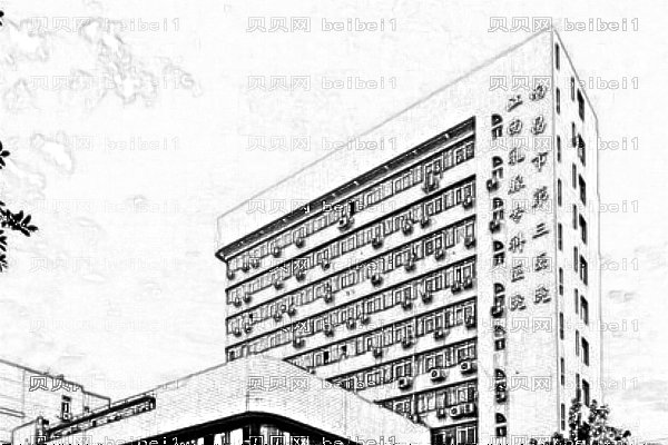 南昌市第三医院