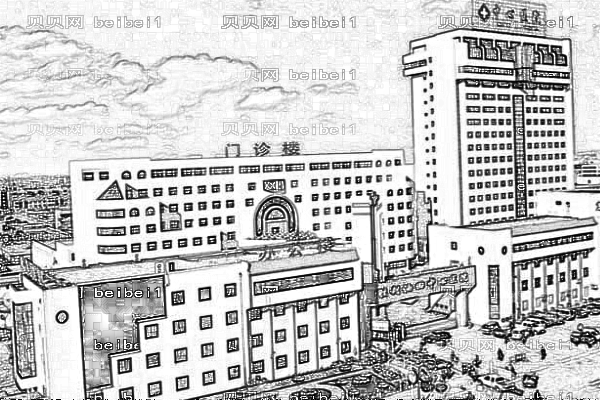 东营市中心医院