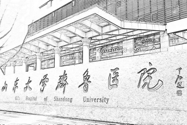 山东大学齐鲁医院