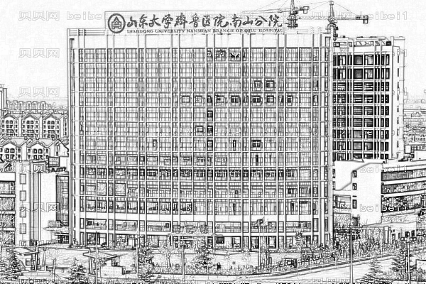 山东大学齐鲁医院