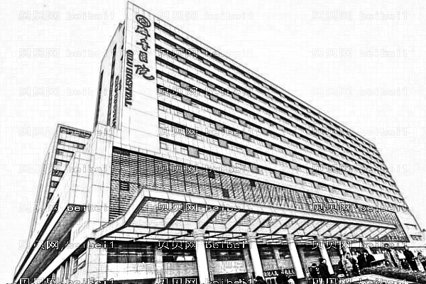 山东大学齐鲁医院