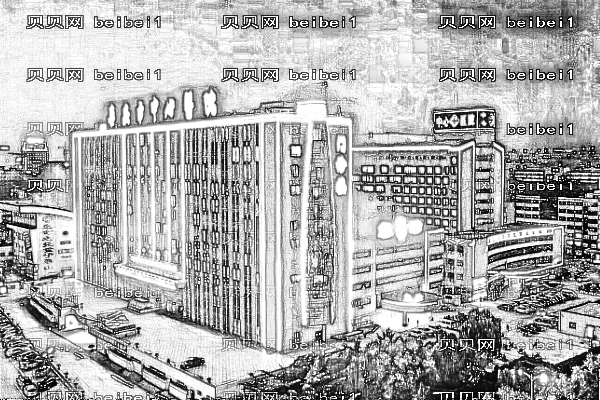 泰安市中心医院