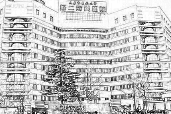 山东中医药大学第二附属医院