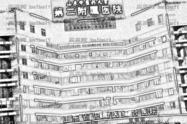 山东中医药大学第二附属医院