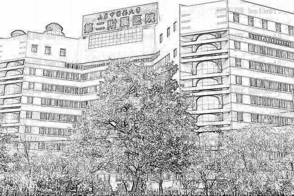 山东中医药大学第二附属医院