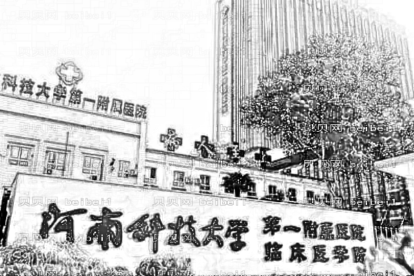 河南科技大学第一附属医院