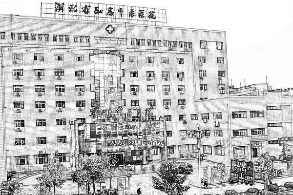鄂州市中心医院