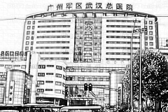 广州军区武汉总医院