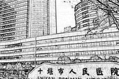十堰市人民医院