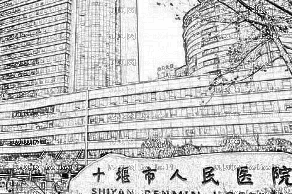 十堰市人民医院