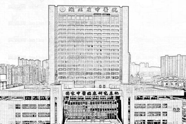 湖北省中医院