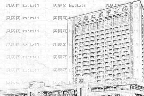 湖北省中医院