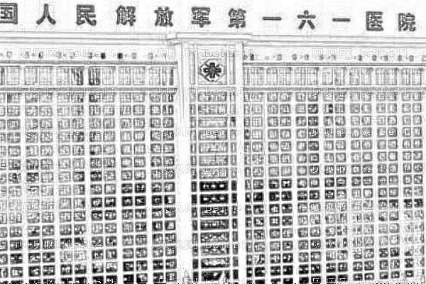 武汉161医院