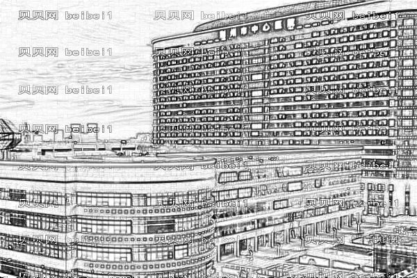 荆州市中心医院