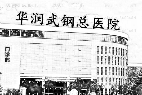 华润武钢总医院
