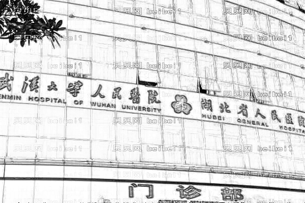 武汉大学人民医院