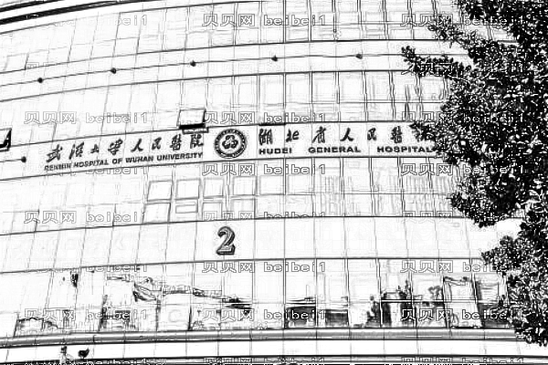 武汉大学人民医院