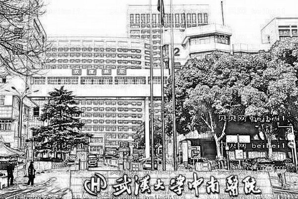 武汉大学中山医院