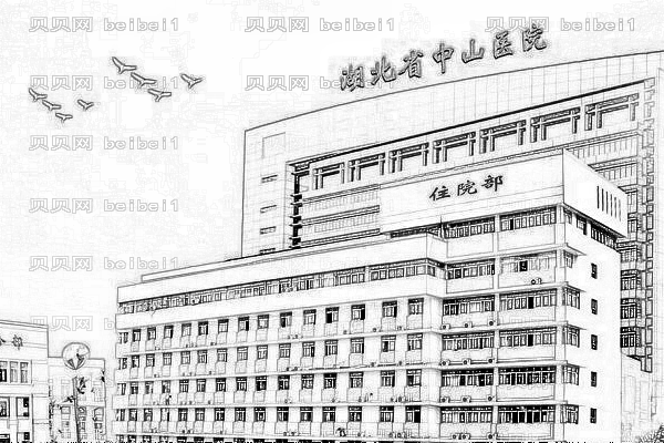 武汉大学中山医院