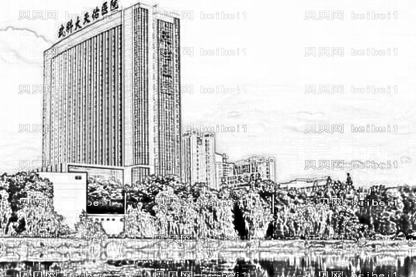 武汉天佑医院