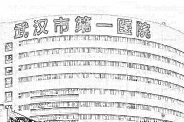 武汉市第一医院