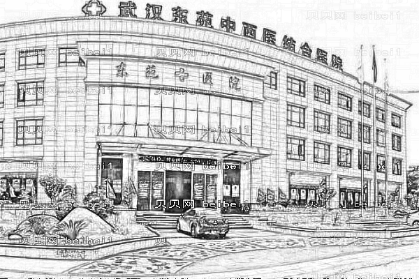 武汉市中西医结合医院