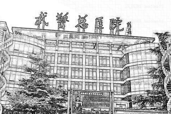 武警湖北总队医院