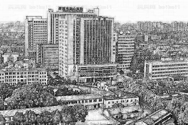 孝感市中心医院