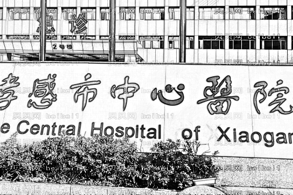孝感市中心医院