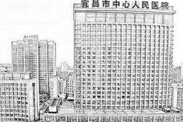 宜昌市中心人民医院