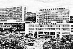 宜昌市中心医院