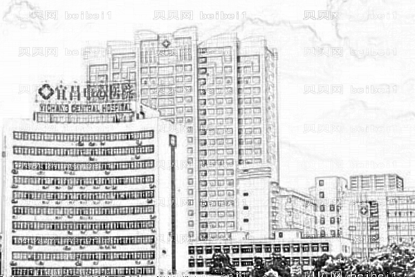 宜昌市中心医院