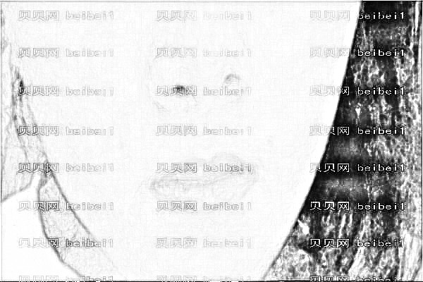 广州爱莱美刘志刚隆鼻失败修复技术靠谱吗?收费大概多少钱?