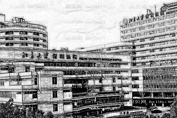 北京大学深圳医院