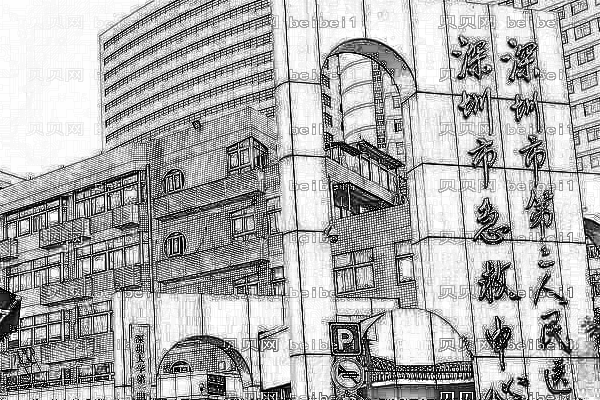 深圳市第二人民医院