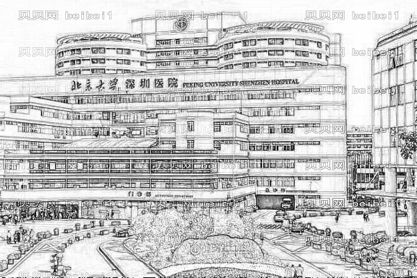 深圳大学第一附属医院