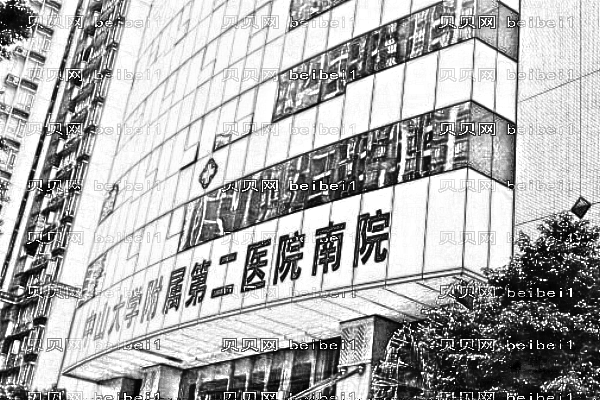 中山大学附属第二医院