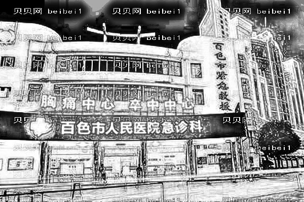 百色市人民医院