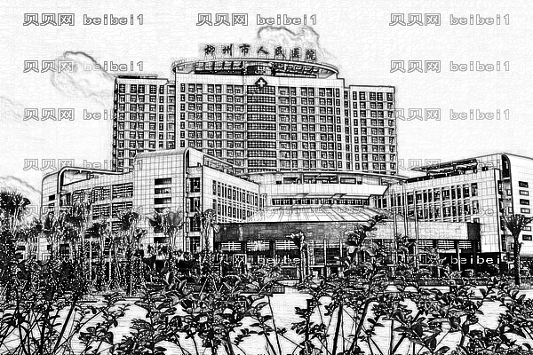 柳州市第三人民医院