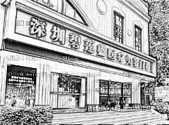 深圳植发技术比较好的医院有哪些？深圳碧莲盛植发怎么样？