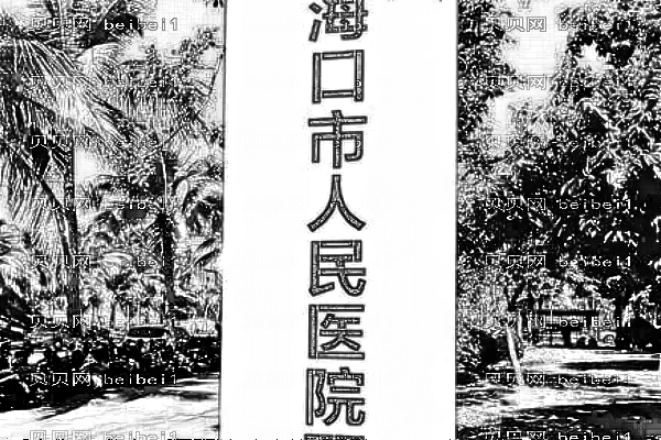 海口市人民医院