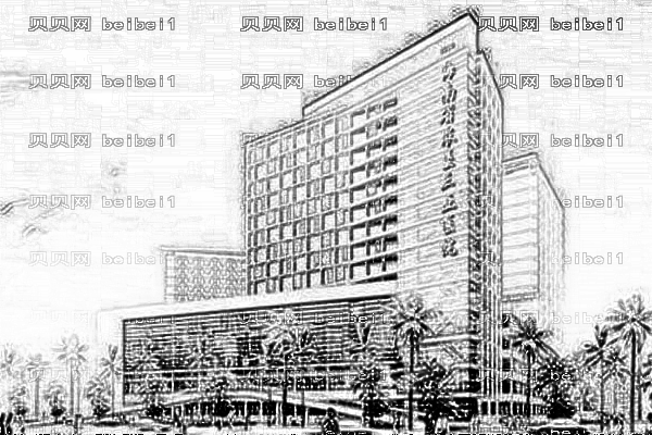 三亚中心医院