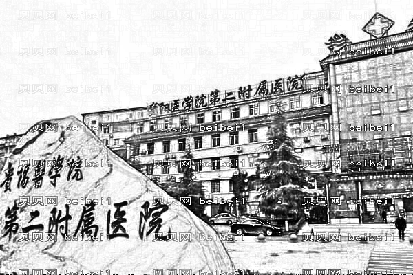 贵阳医学院第二附属医院
