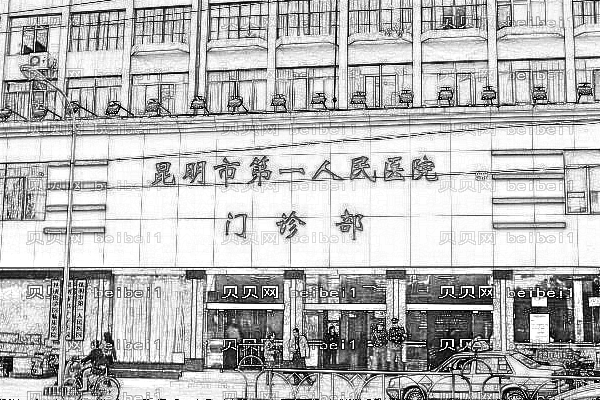 昆明市第一人民医院